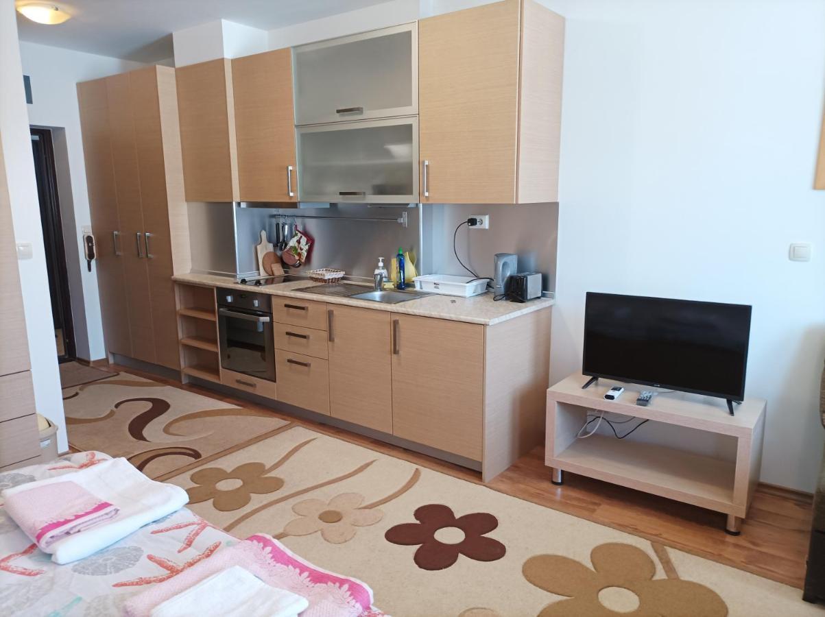 Studio Detelina Residence بانسكو المظهر الخارجي الصورة