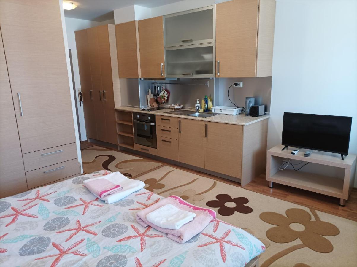 Studio Detelina Residence بانسكو المظهر الخارجي الصورة