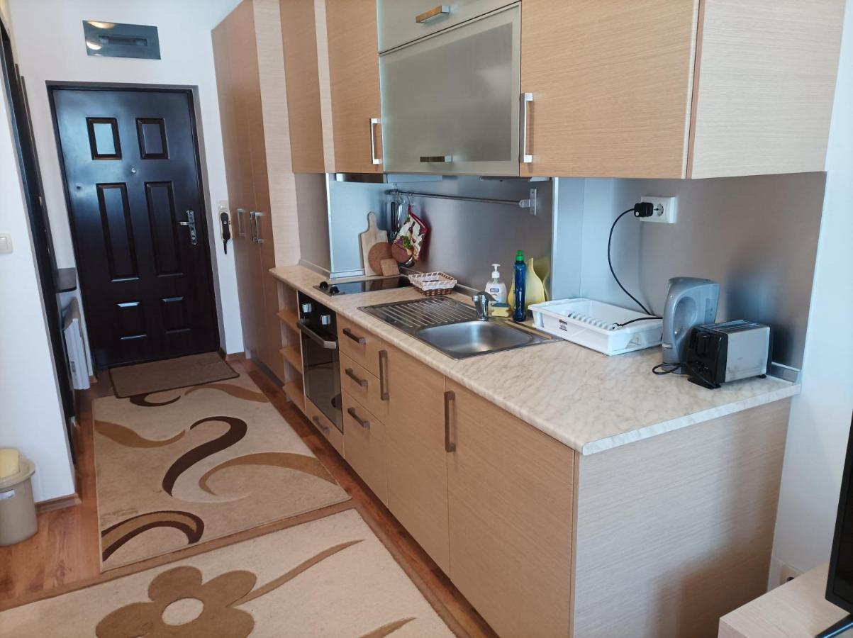 Studio Detelina Residence بانسكو المظهر الخارجي الصورة