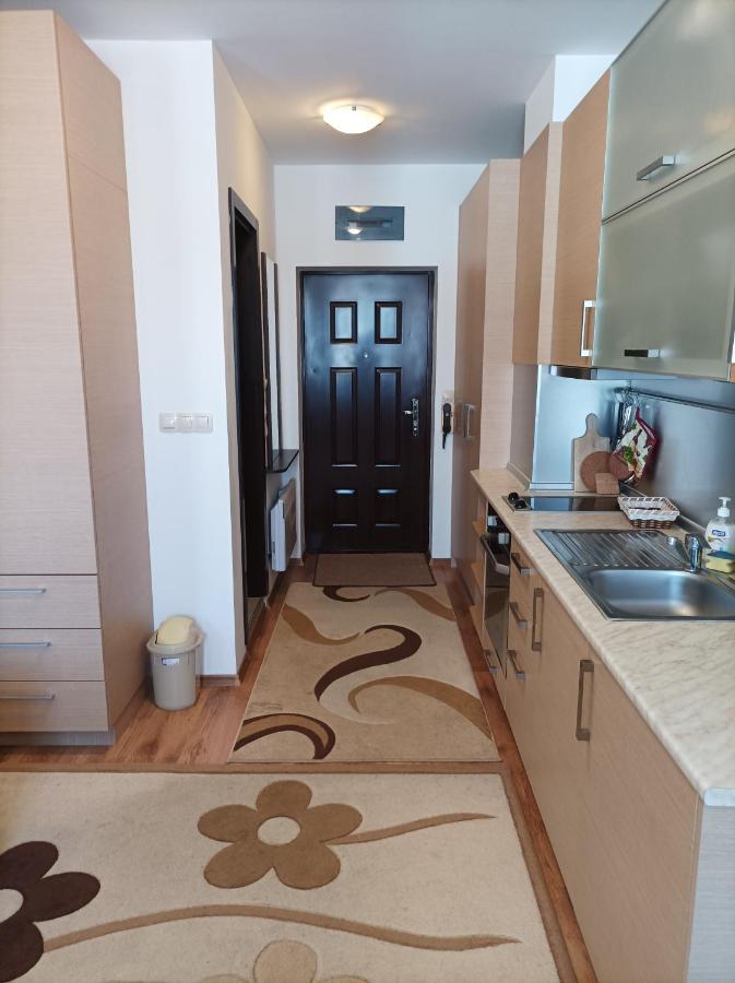 Studio Detelina Residence بانسكو المظهر الخارجي الصورة
